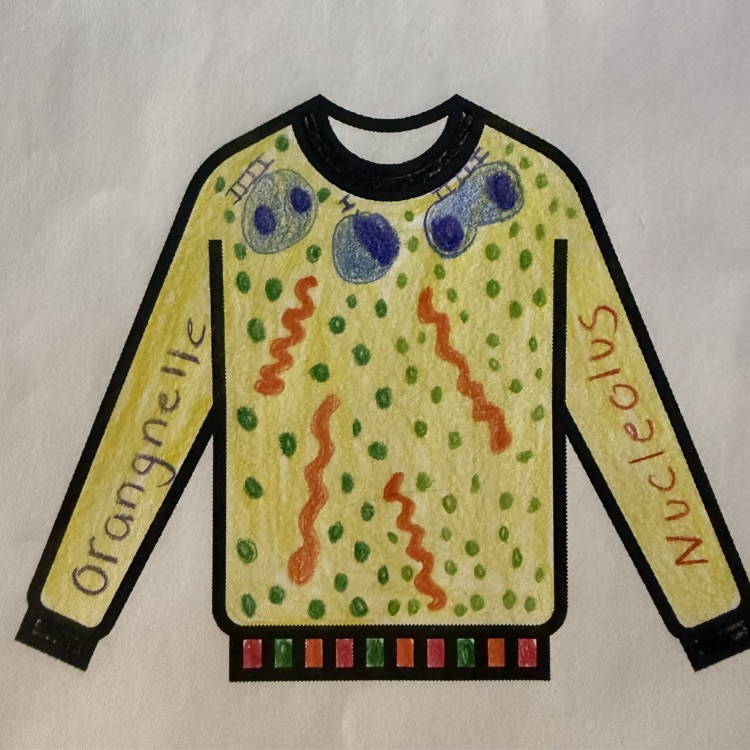 Ms. Kirklands classes designed ugly Christmas sweaters- biology style. 
