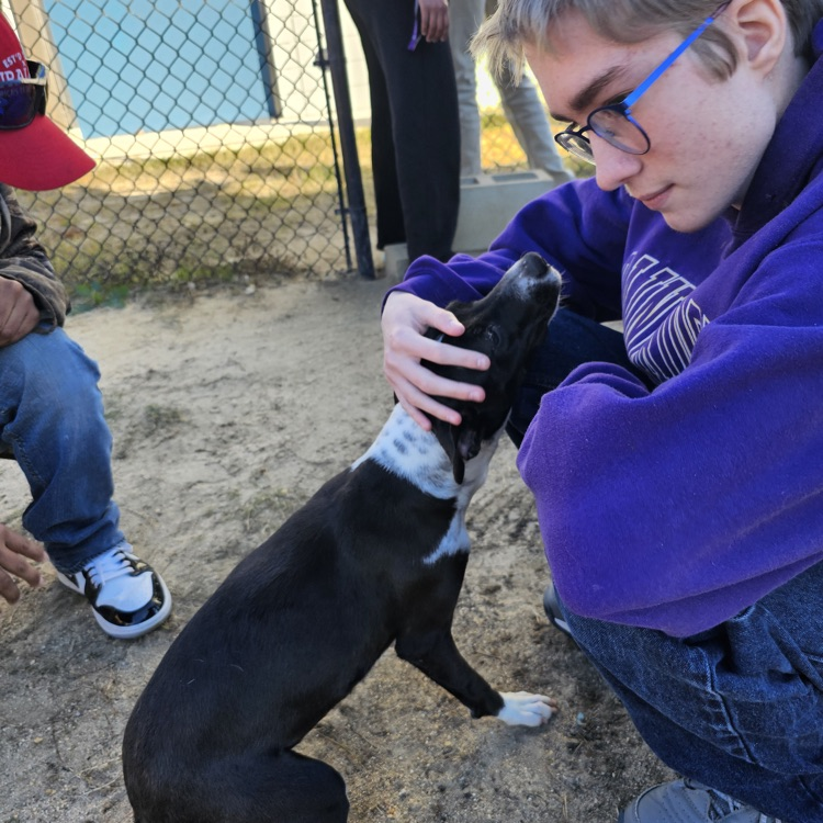 Our adaptive classes and Anchor Club members visited the Humane Society today where they delivered their donations and home-made treats and also got in some play and pet time with the shelter animals 