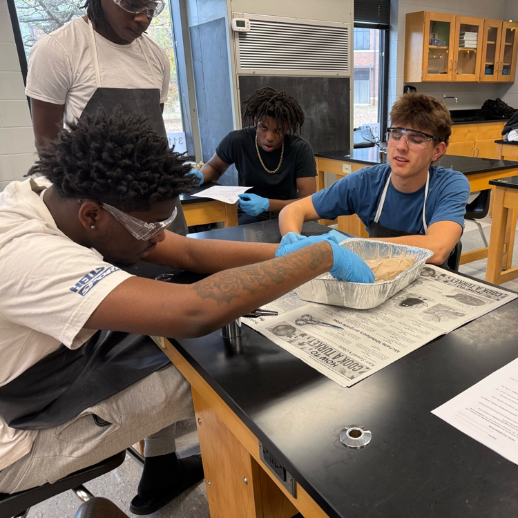 Ms. Kirkland’s class dissected fetal pigs today 