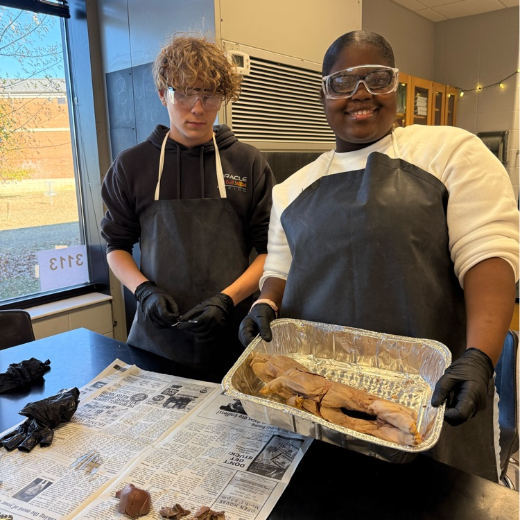 Ms. Kirkland’s class dissected fetal pigs today