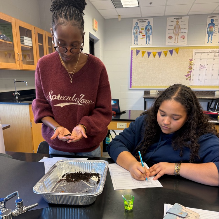Ms. Kirkland's biology class completed a lab determine the characteristics of life. 