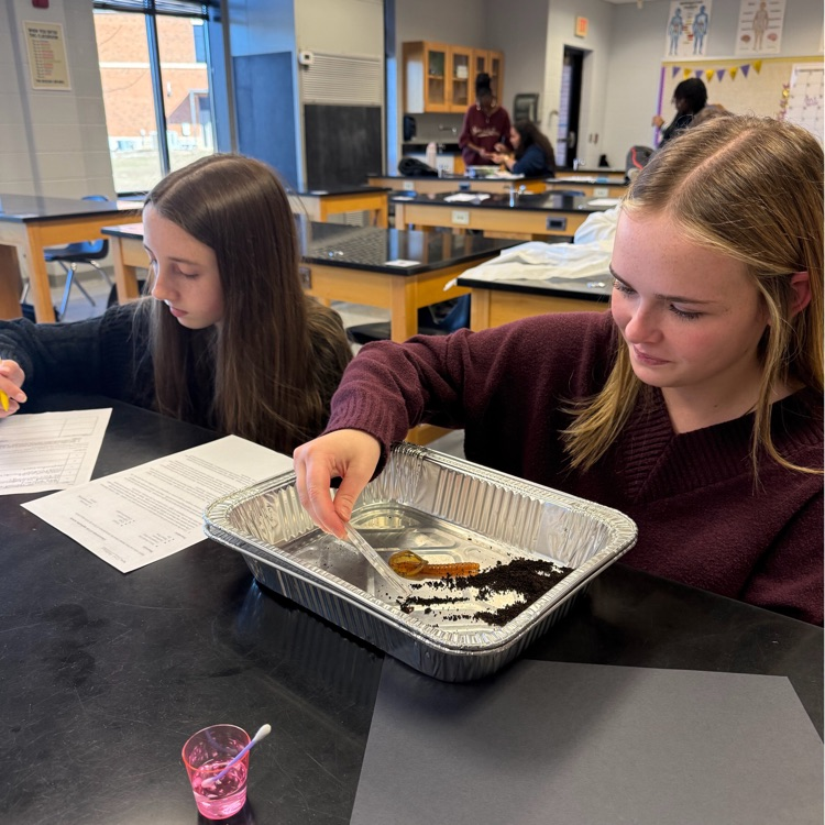 Ms. Kirkland's biology class completed a lab determine the characteristics of life. 