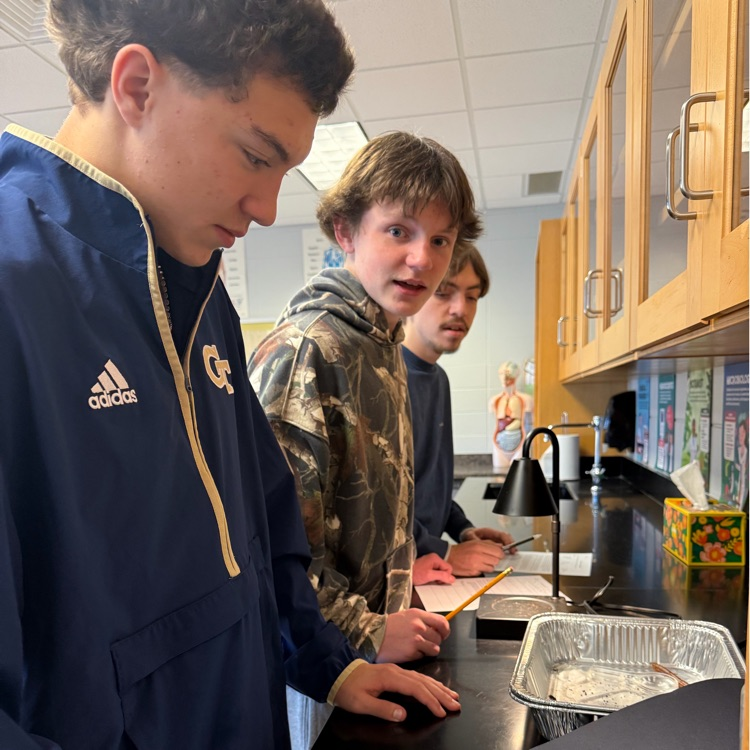 Ms. Kirkland's biology class completed a lab determine the characteristics of life. 