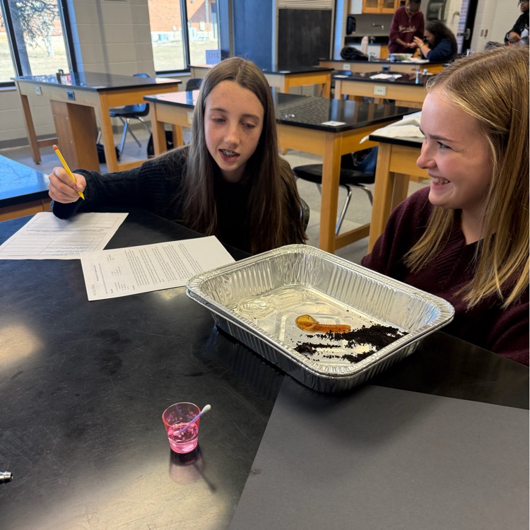 Ms. Kirkland's biology class completed a lab determine the characteristics of life. 