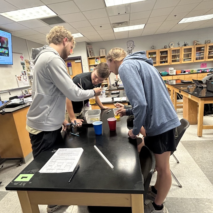 Anatomy students try to keep Homer Simpson alive. 