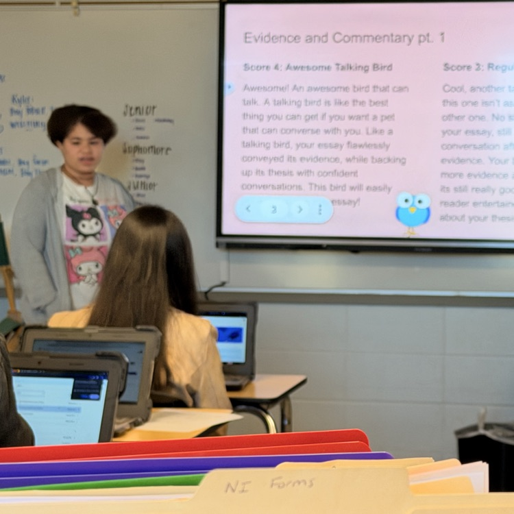 AP Lit students present rubric projects where they correlate the AP rubric to a theme of their choice. 