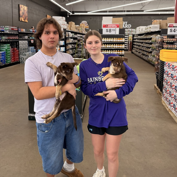 Anchor Club members helped with a Humane Society adoption event at Rural King today.