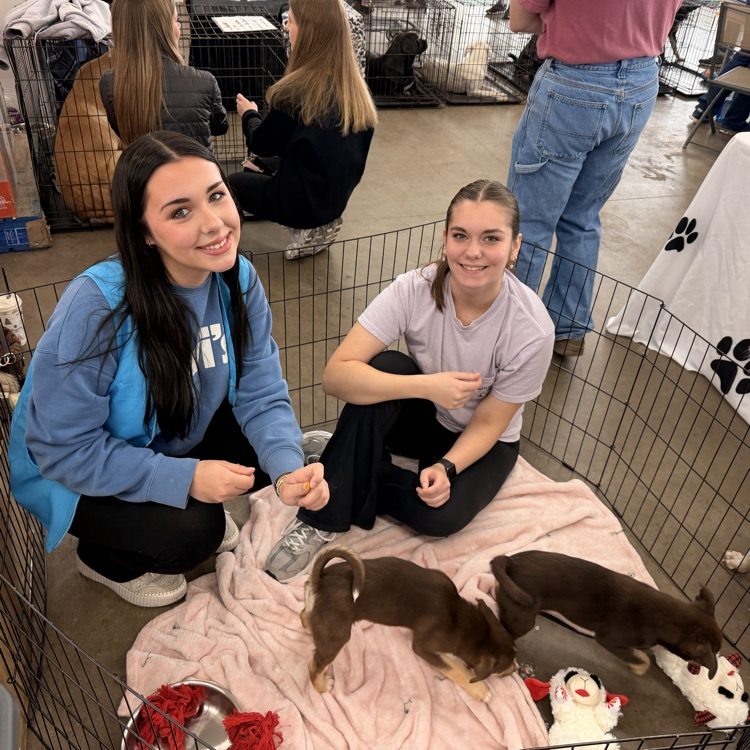 Anchor Club members helped with a Humane Society adoption event at Rural King today.