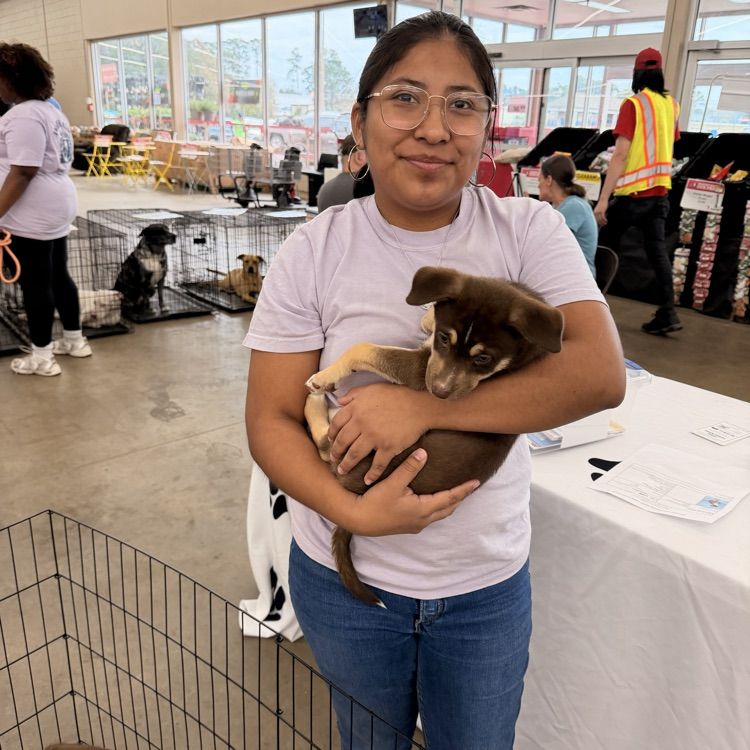 Anchor Club members helped with a Humane Society adoption event at Rural King today.