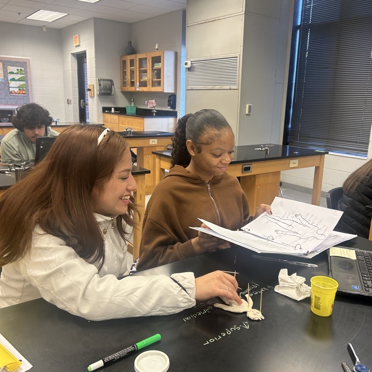 Anatomy students get creative when studying for their first test