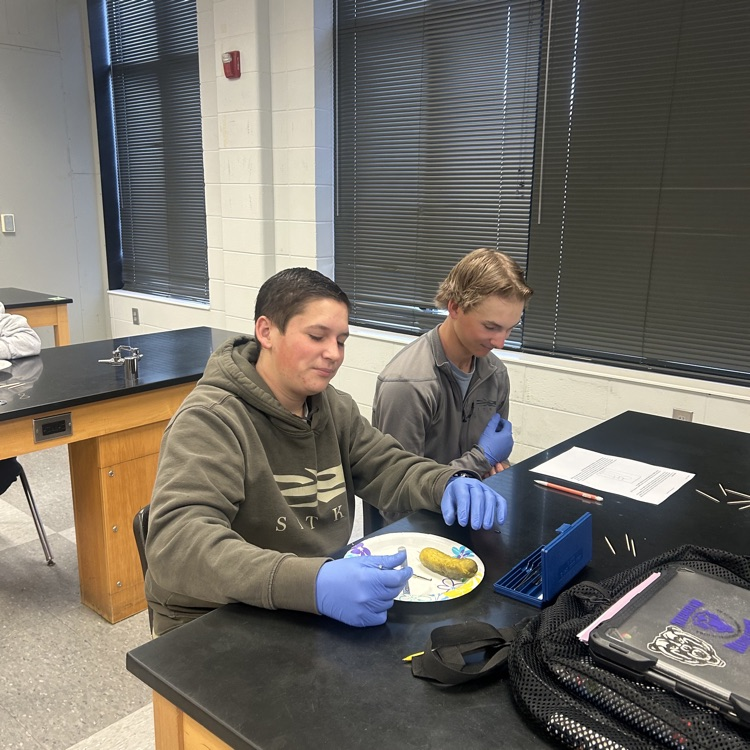 Anatomy students get creative when studying for their first test