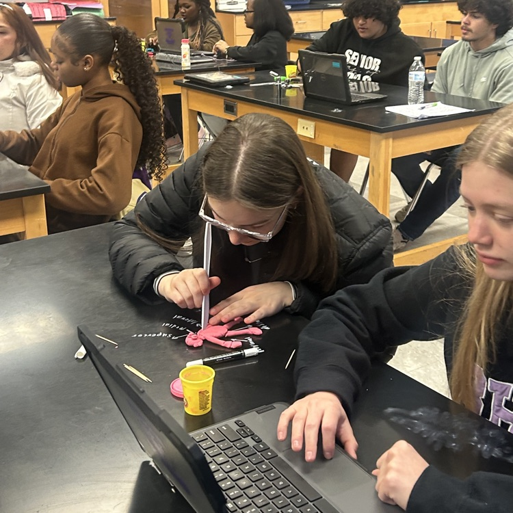 Anatomy students get creative when studying for their first test