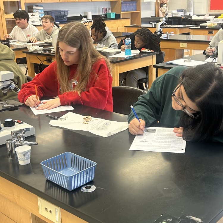 Biology students complete a mushroom dissection lab.