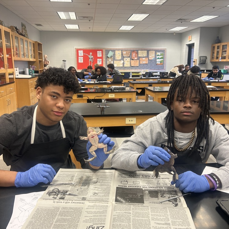 Anatomy students learned essential dissecting skills today. 