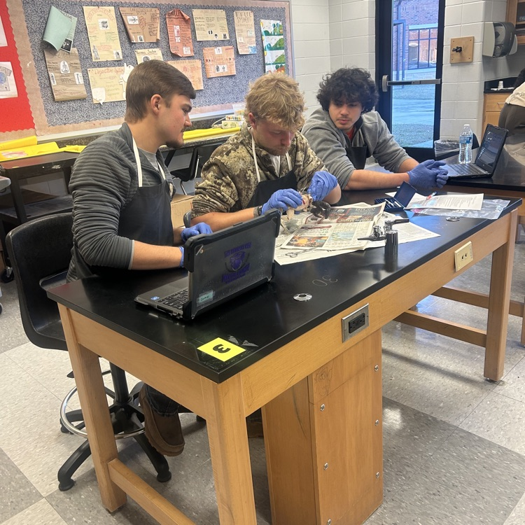 Anatomy students learned essential dissecting skills today. 