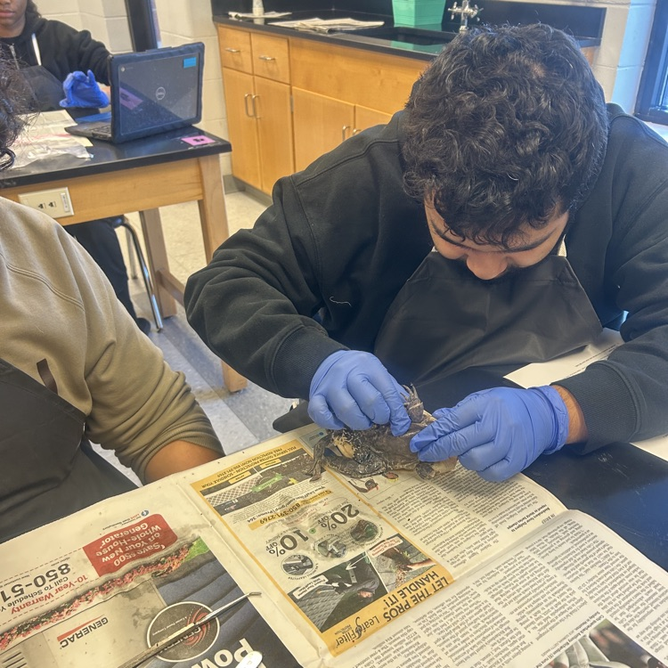 Anatomy students learned essential dissecting skills today. 