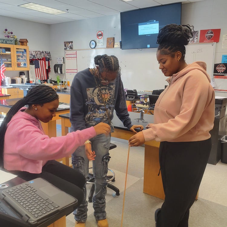 Mrs. Howell's Conceptal physics classes performed a lab investigating and calculating energy transformations in a falling ball with respect to the law of conservation of energy and graphing the data.