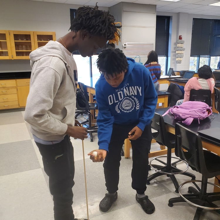 Mrs. Howell's Conceptal physics classes performed a lab investigating and calculating energy transformations in a falling ball with respect to the law of conservation of energy and graphing the data.