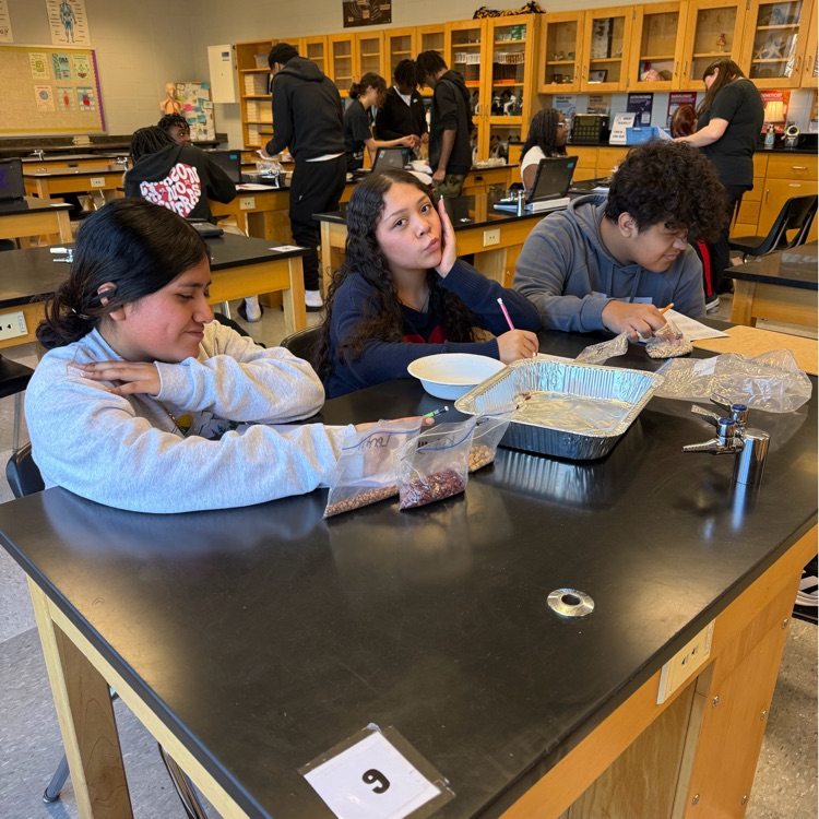Students completed a natural selection lab in which they observed how microbe populations (modeled with beans) changed over multiple generations based on favorable traits, similar to real-life populations.