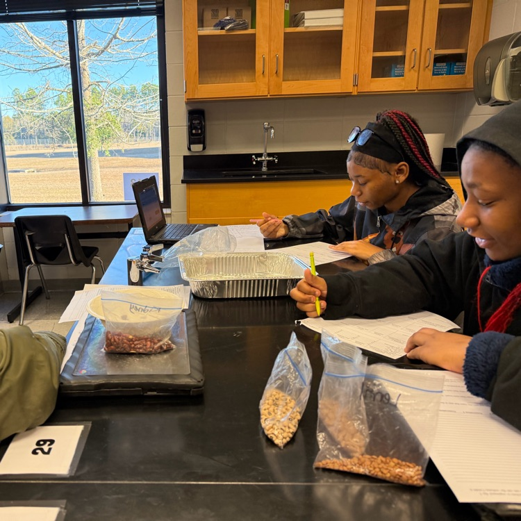 Students completed a natural selection lab in which they observed how microbe populations (modeled with beans) changed over multiple generations based on favorable traits, similar to real-life populations.