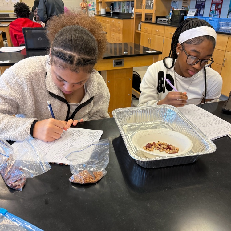 Students completed a natural selection lab in which they observed how microbe populations (modeled with beans) changed over multiple generations based on favorable traits, similar to real-life populations.