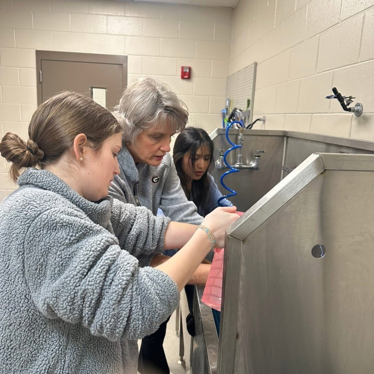 Anchor Club members Anna Carnes and Yuliana Avila helped bathe dogs today to get them ready for the Barkus parade