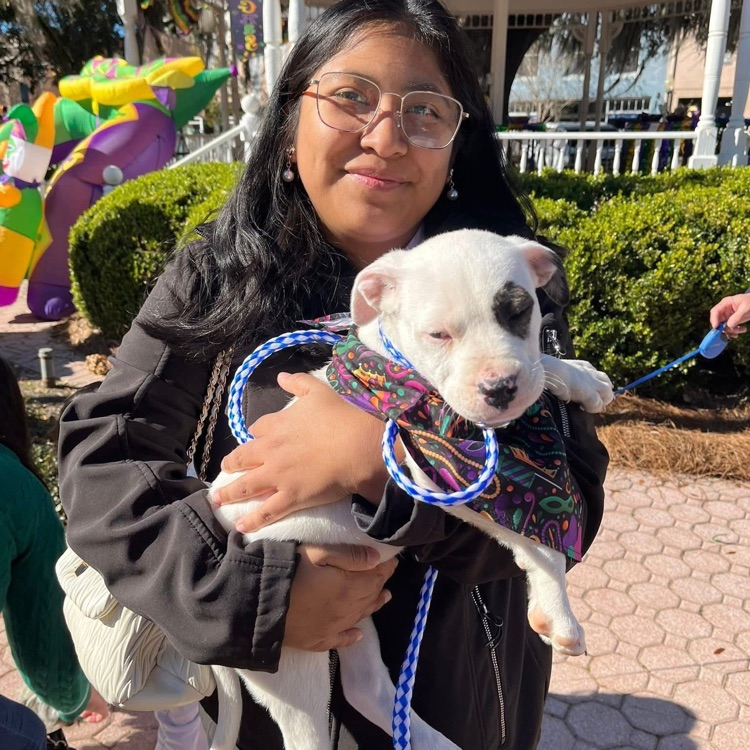 Anchor members Gambler Dollar, Angelica DeJesus, Angelina Gomez-Roman and Anna Carnes helped walk Humae Society dogs in the Barkus Parade to encourage people to adopt.
