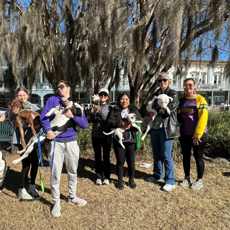 Anchor members Gambler Dollar, Angelica DeJesus, Angelina Gomez-Roman and Anna Carnes helped walk Humae Society dogs in the Barkus Parade to encourage people to adopt.