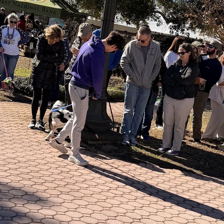 Anchor members Gambler Dollar, Angelica DeJesus, Angelina Gomez-Roman and Anna Carnes helped walk Humae Society dogs in the Barkus Parade to encourage people to adopt.