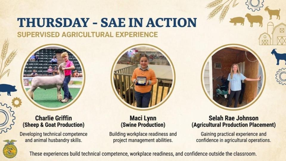 BMS FFA Week Spotlight on 3 students that participate in supervised agricultural Experiences. 