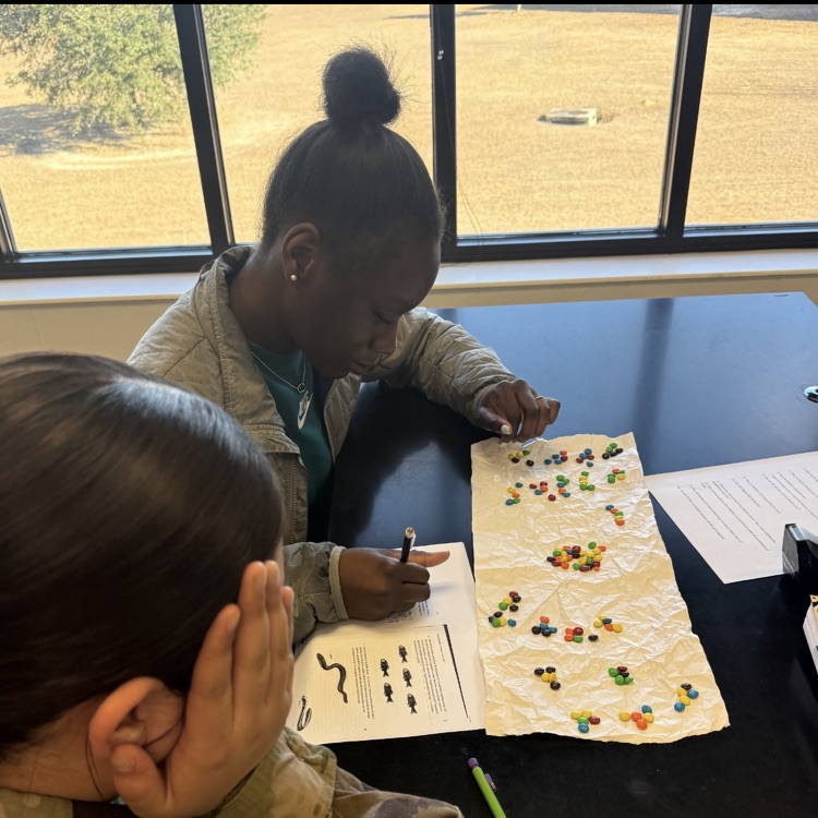Environmental Science students modeled the concepts of bioaccumulation and biomagnification using M&M candies to represent toxins accumulating in an aquatic environment.