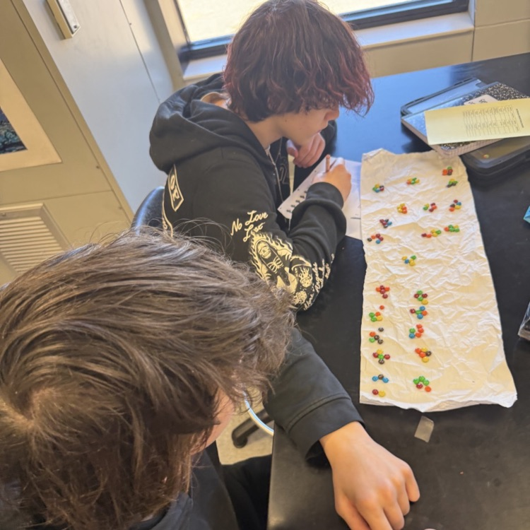 Environmental Science students modeled the concepts of bioaccumulation and biomagnification using M&M candies to represent toxins accumulating in an aquatic environment.