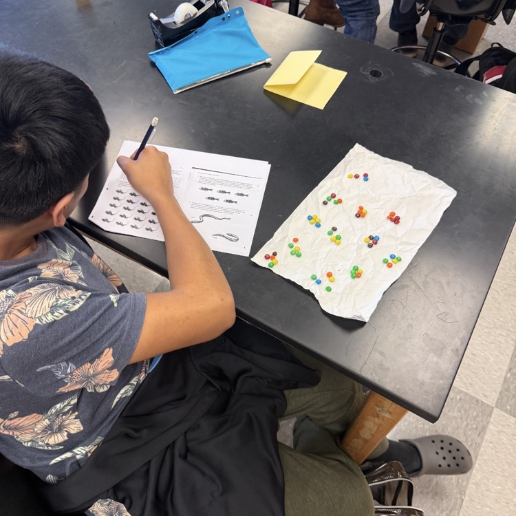 Environmental Science students modeled the concepts of bioaccumulation and biomagnification using M&M candies to represent toxins accumulating in an aquatic environment.