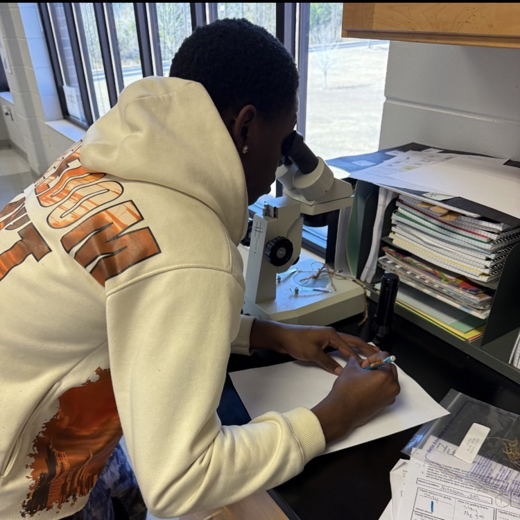 Environmental Science students modeled the movement of water and carbon through their respective cycles, then observed root nodules from peanut plants.