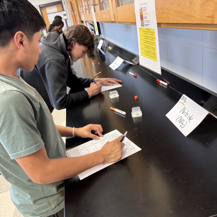 Environmental Science students modeled the movement of water and carbon through their respective cycles, then observed root nodules from peanut plants.