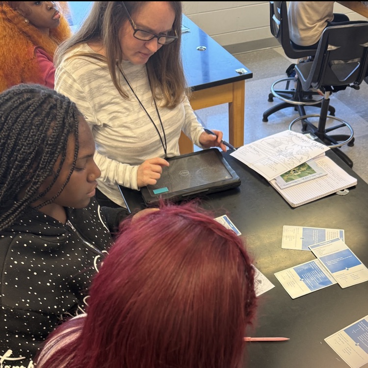 Environmental Science students modeled the movement of water and carbon through their respective cycles, then observed root nodules from peanut plants.
