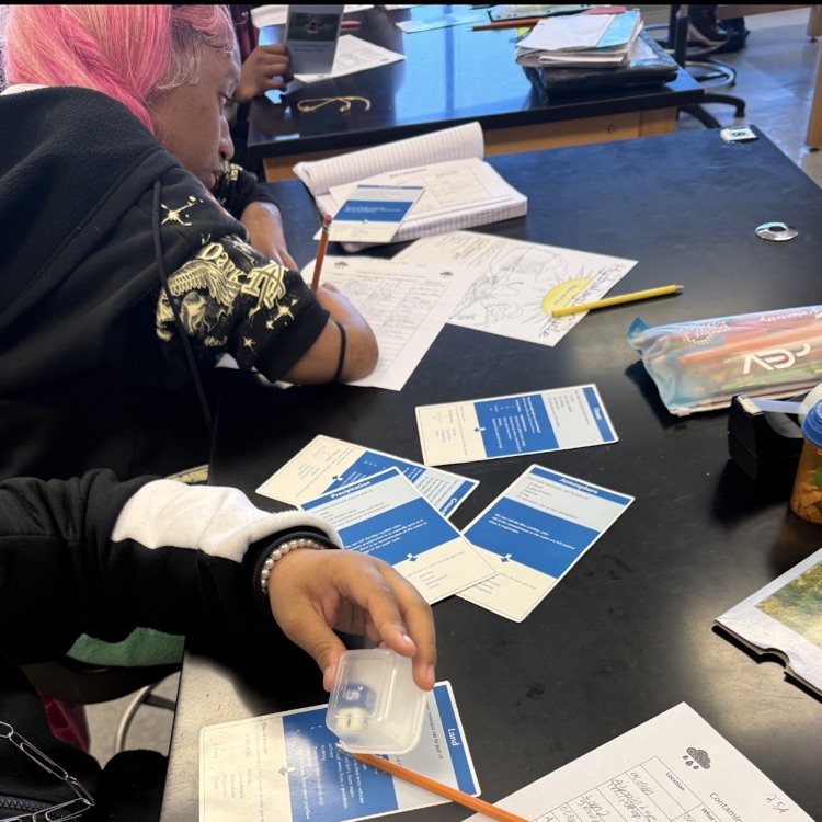 Environmental Science students modeled the movement of water and carbon through their respective cycles, then observed root nodules from peanut plants.