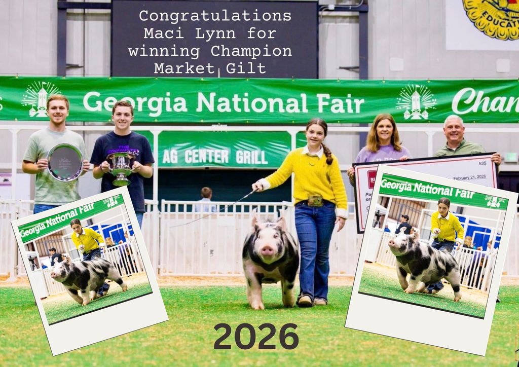 Maci Lynn wins Champion Market Gilt at the GA National Fair 2026