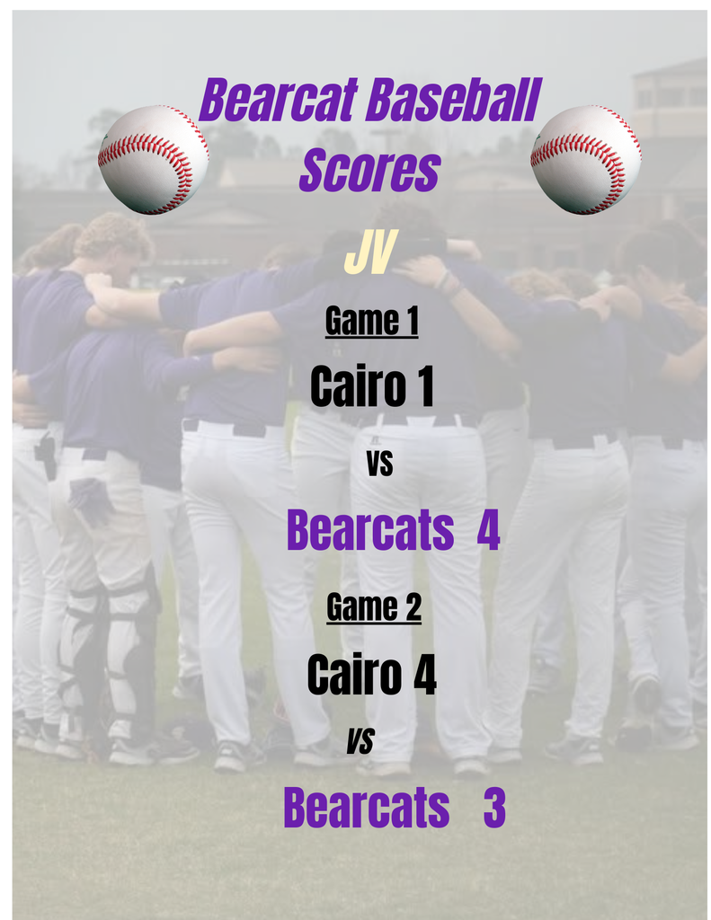 Bainbridge JV vs Cairo