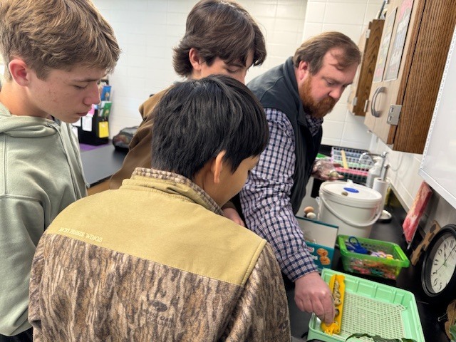 Stepping beyond the curriculum to embrace learning sparked by student choice, Ms. Rambo’s physical science class is incubating chicken and quail eggs as part of a hands-on exploration. One student extended the experience by bringing eggs from his own backyard coop, creating an authentic, real-world connection for his classmates. When questions surfaced, Mr. Cole stepped in to provide a mini-lesson on fertilized eggs and the incubation process, enriching the learning even further. Student voice. Real-world connections. Learning in action.
