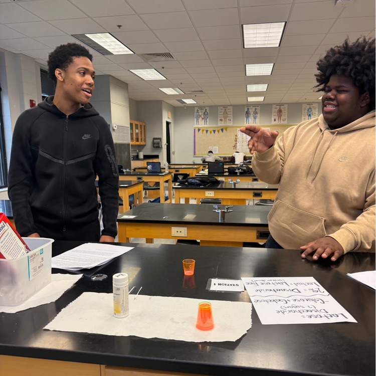 Biology students got hands on experience with enzymes last week. Students even got the opportunity to taste test a few items!