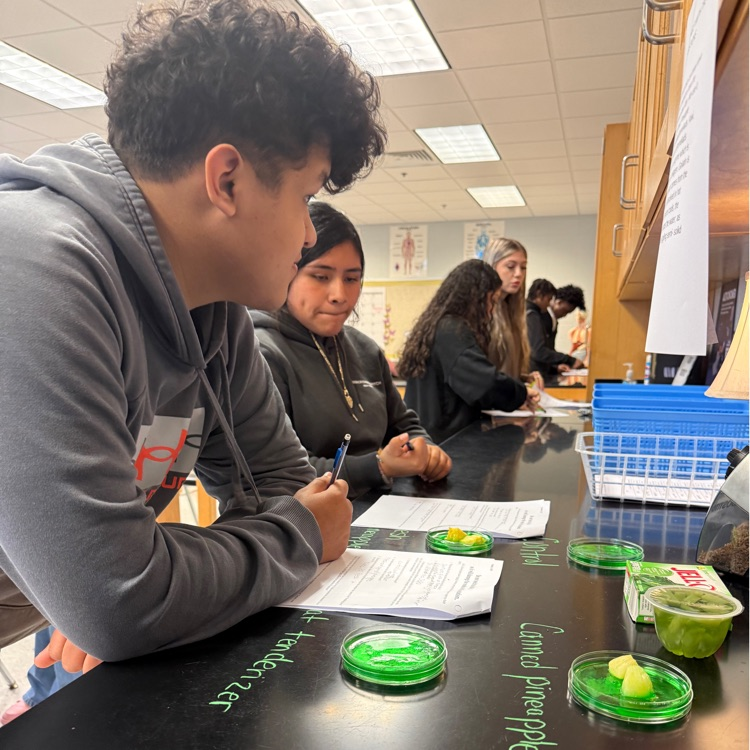 Biology students got hands on experience with enzymes last week. Students even got the opportunity to taste test a few items!