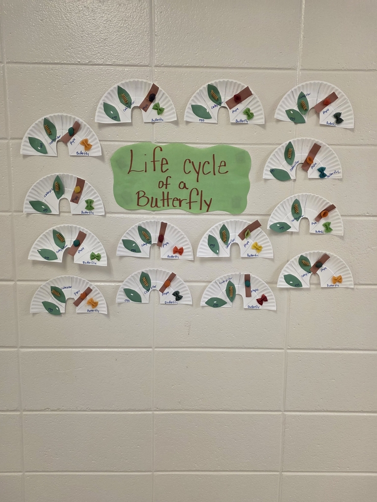 Ms. Sanchez and Mrs. kristys' class learning about butterflies.