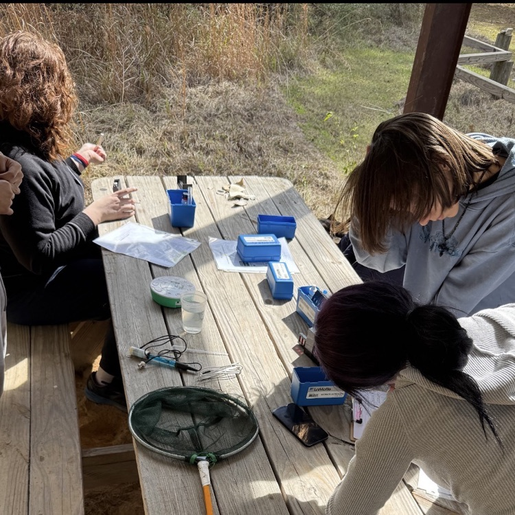 Mrs. McDonald's Environmental Science students investigated various chemical and physical properties of the pond on campus. 