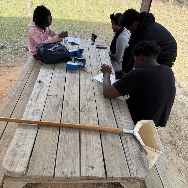 Mrs. McDonald's Environmental Science students investigated various chemical and physical properties of the pond on campus. 