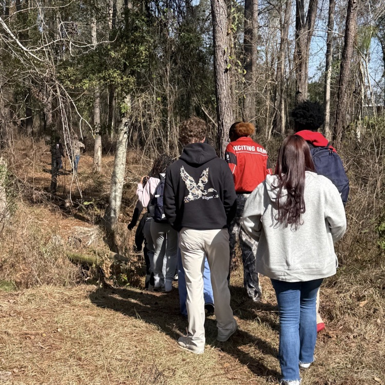 Mrs. McDonald's Environmental Science students investigated various chemical and physical properties of the pond on campus. 