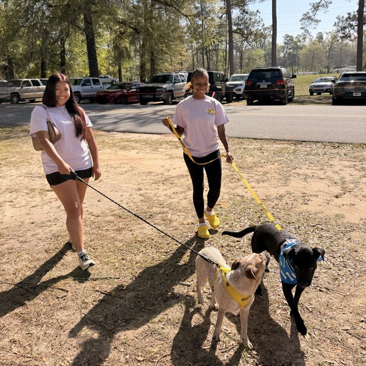  Anchor Club members helped with a Humane Society adoption event at Rivertown Days. 