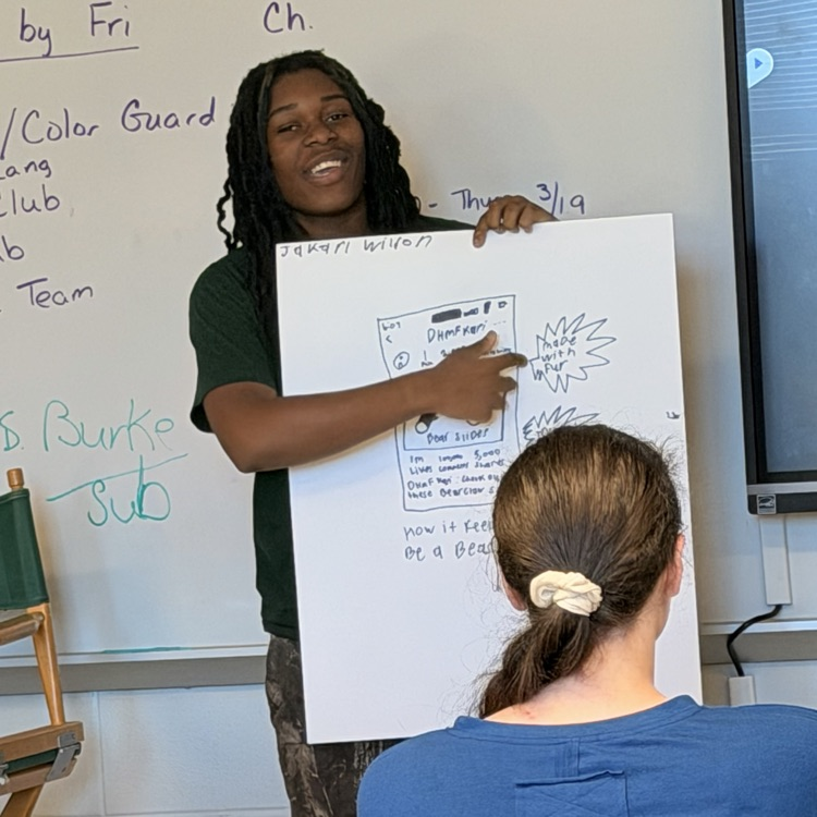 English II students reviewed rhetorical devices by designing and presenting a product or a Public Service Announcement. 