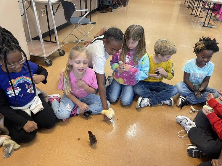 Primary Spring QUEST Rally