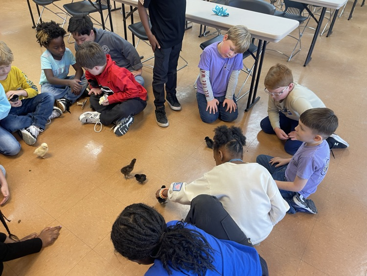 Primary Spring QUEST Rally